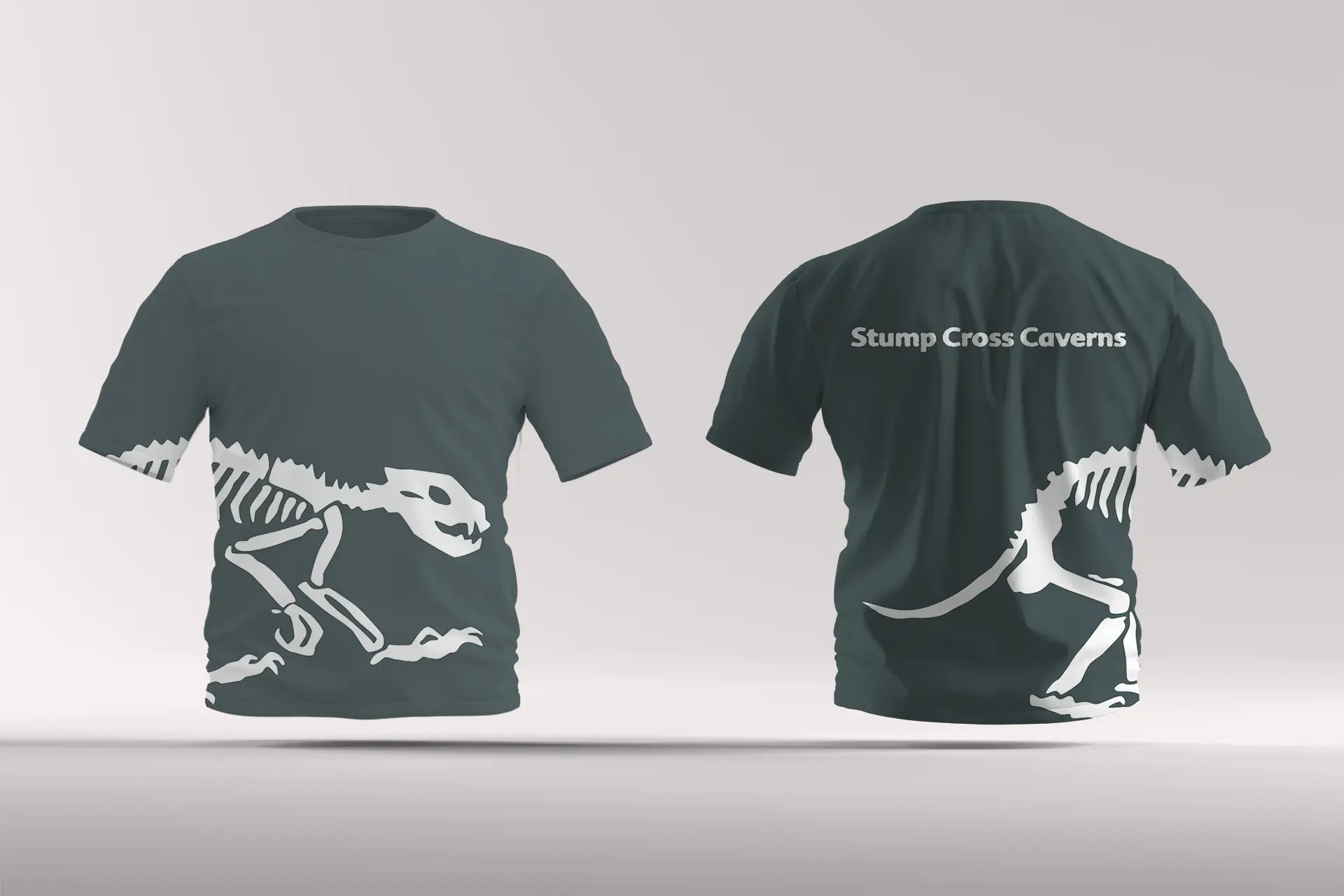 Stump Cross Caverns image